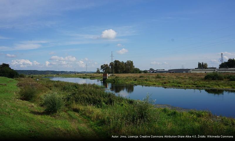 Kanał Ulgi (Gorzów Wielkopolski)