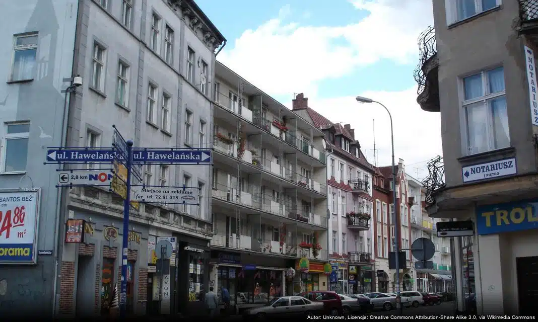 Spotkania z planszówkami w Gorzowie Wielkopolskim